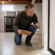A Month by Month Home Pest Prevention Checklist for Sudbury Massachusetts