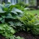 A Seasonal Yard Plan for Comfortable Outdoor Living in Warrenton Virginia