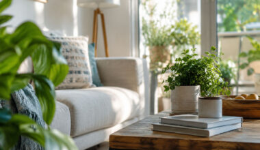Creating a Healthier and More Comfortable Indoor Environment