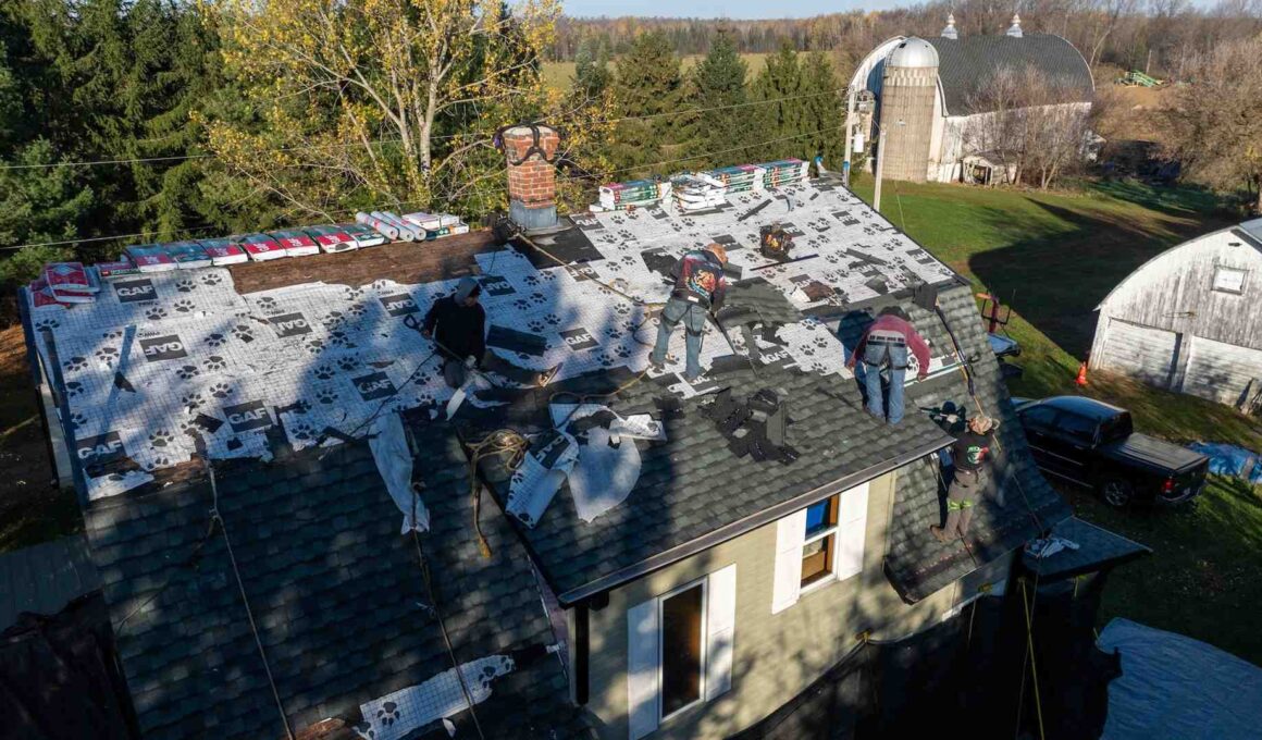 Essential Roof and Gutter Maintenance for Homeowners
