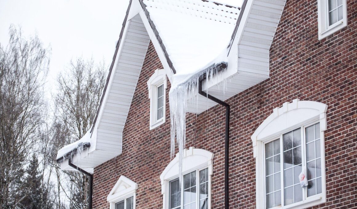 How Freeze Thaw Cycles Wear Down Denver Roofs