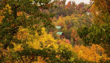 How to Plan a Comfortable Family Vacation in the Mountains