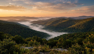 How to Plan an Unplugged Weekend in the Allegheny Highlands