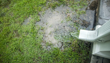 How to Resolve Lawn Drainage Issues