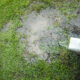 How to Resolve Lawn Drainage Issues