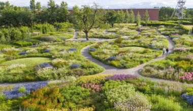 How to Transform Your Garden with Essential Tools and Decor