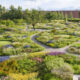 How to Transform Your Garden with Essential Tools and Decor