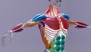 Navigating Personal Injury Recovery Legal and Physical Support