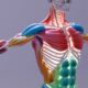 Navigating Personal Injury Recovery Legal and Physical Support