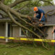 Roof Repairs After a Tree Branch Impact What Homeowners Should Check Beyond Visible Surface Damage