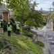 Smart Site Planning for Stormwater Trees and Permits in Washington DC