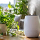Top 5 Humidifiers for Comfortable Everyday Living in 2026