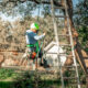 Top 5 Tree Service And Landscape Companies On The Outer Banks