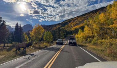 Top Tips for Planning a Scenic Group Road Trip