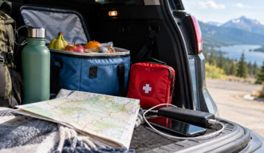 5 Road Trip Essentials Youll Be Glad You Packed