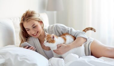 A Guide to Managing Your Rental Properties with Confidence