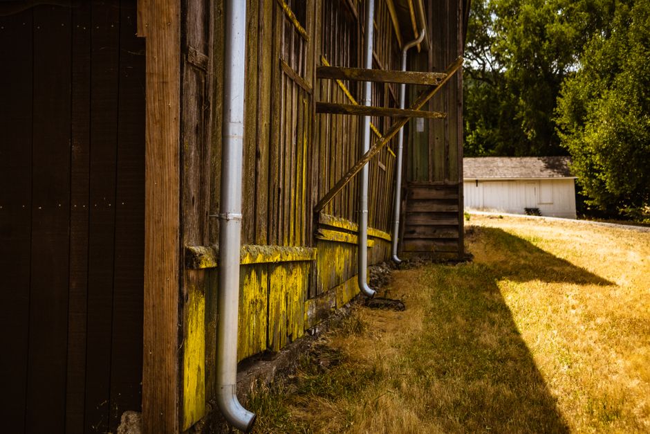 A Homeowner Guide to Preventing Water Damage and Mo