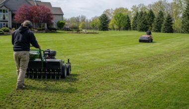 Dethatching Vs. Aerating A Smart Turf Care Plan