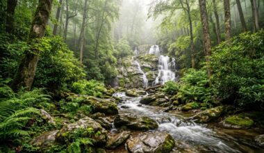 Exploring the Countryside Around Helen Georgia Waterfalls Ridges and Quiet Roads