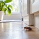 Exterminator Insights for Understanding Why Pest Activity Can Return After Initial Treatment