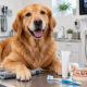 How Animal Hospitals Support Preventive Dental Programs