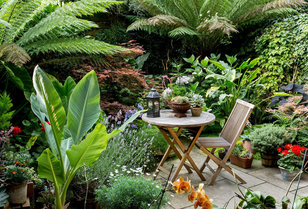 How to Design a Low Maintenance Garden That Looks Luxurious Year Round