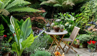 How to Design a Low Maintenance Garden That Looks Luxurious Year Round