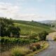 Midweek Travel in California Wine Country What Changes When You Skip the Weekend
