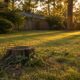 What To Do With a Leftover Tree Stump in Shreveport Safe Yard Planning