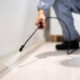 Why Some Homes Attract More Pests Than Others